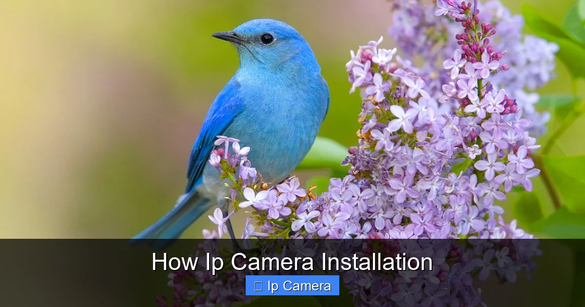 How Ip Camera Installation