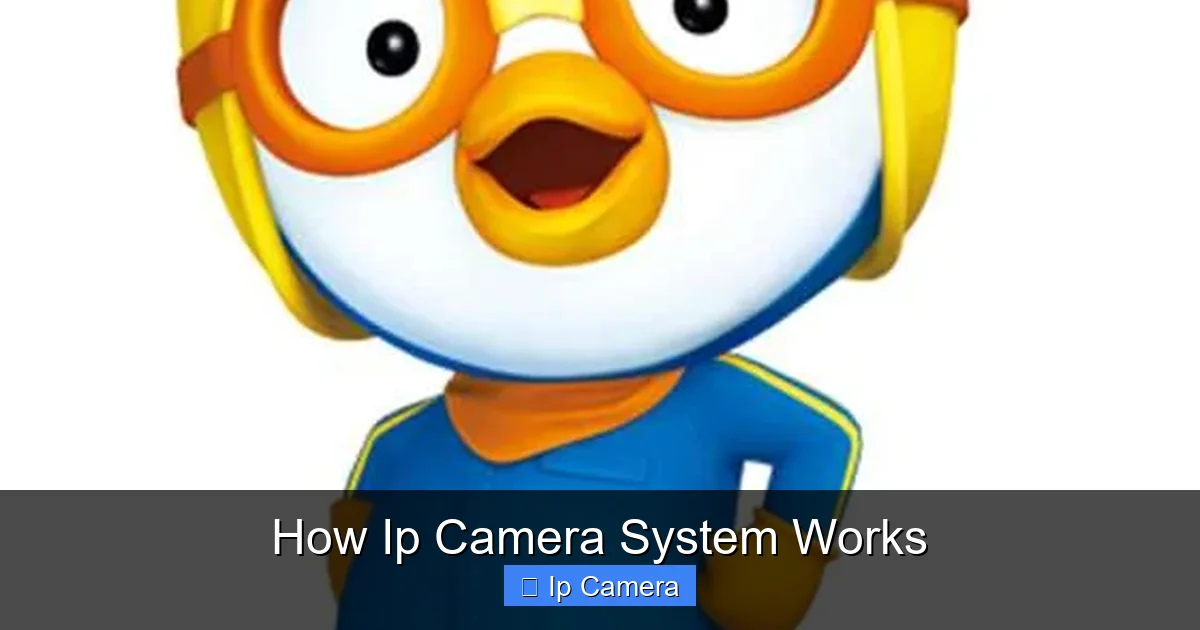 How Ip Camera System Works