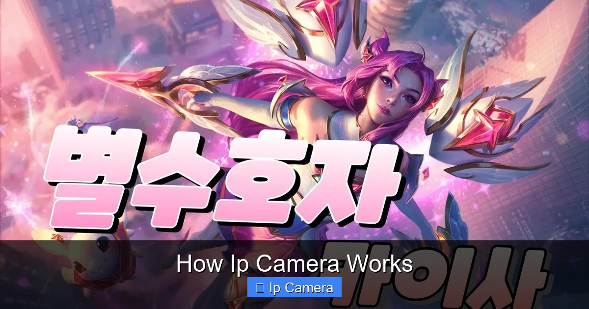 How Ip Camera Works