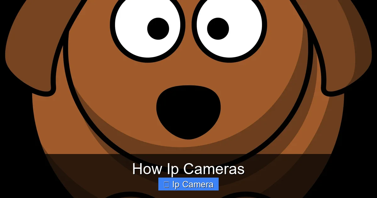 How Ip Cameras