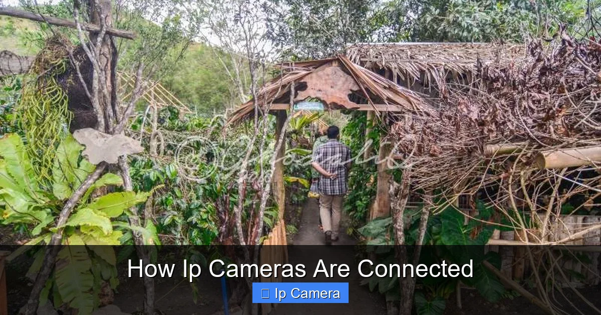 How Ip Cameras Are Connected