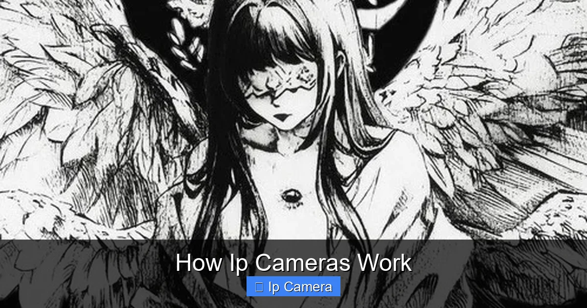 How Ip Cameras Work