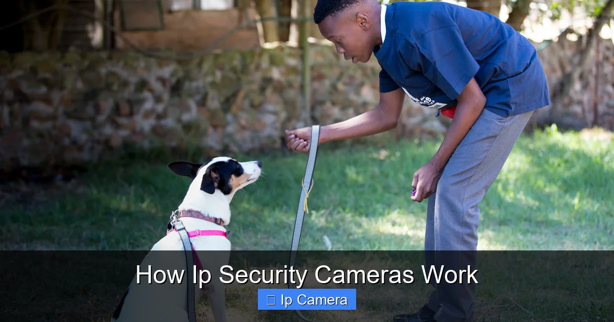 How Ip Security Cameras Work