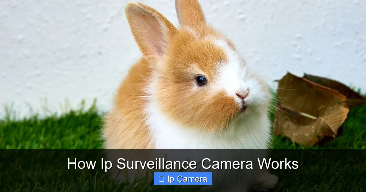 How Ip Surveillance Camera Works