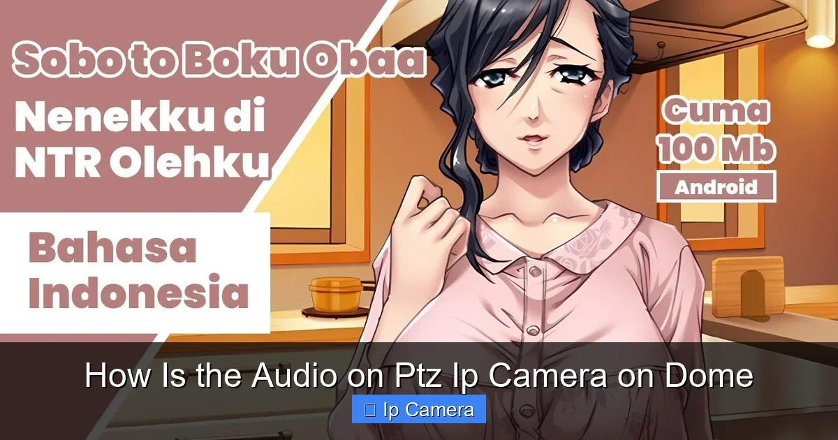 How Is the Audio on Ptz Ip Camera on Dome
