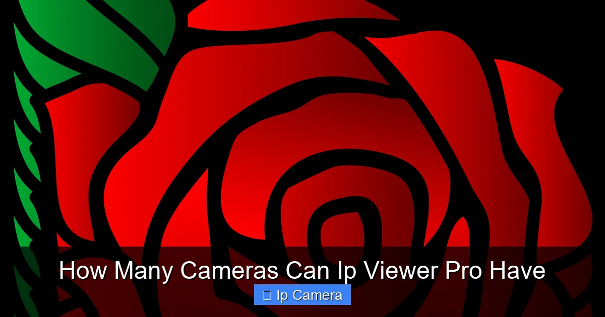 How Many Cameras Can Ip Viewer Pro Have