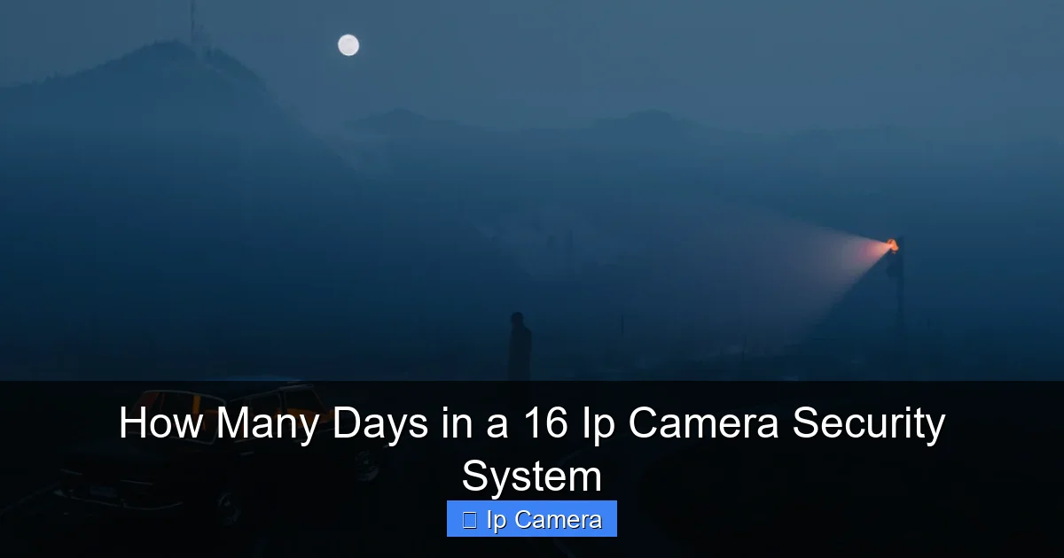 How Many Days in a 16 Ip Camera Security System