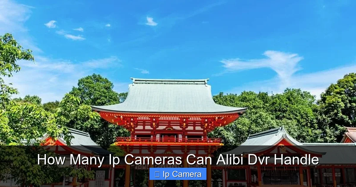 How Many Ip Cameras Can Alibi Dvr Handle