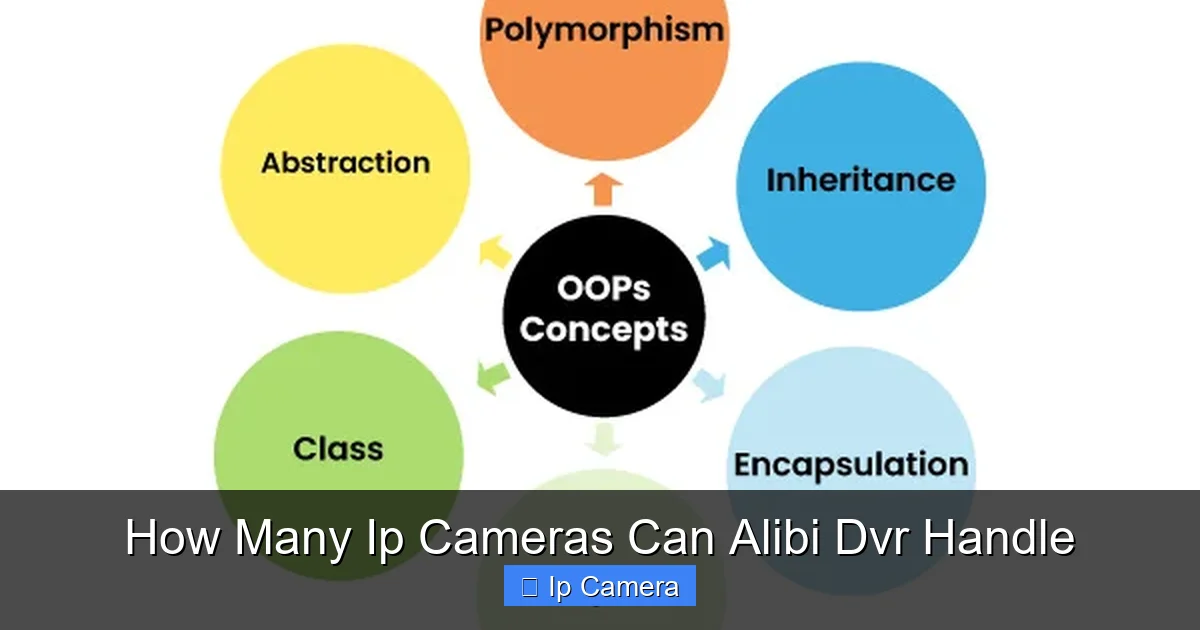 How Many Ip Cameras Can Alibi Dvr Handle