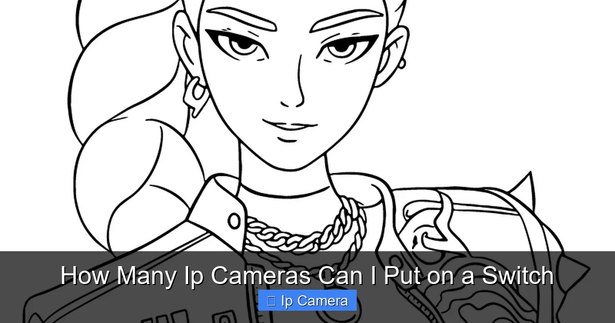 How Many Ip Cameras Can I Put on a Switch