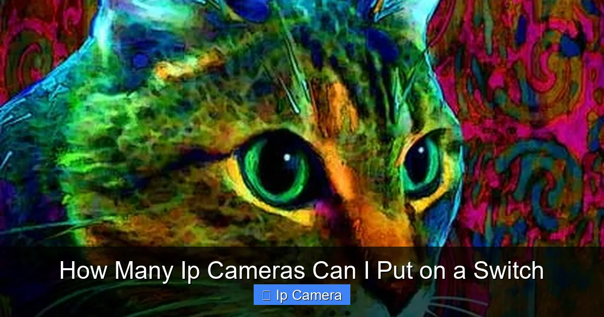 How Many Ip Cameras Can I Put on a Switch
