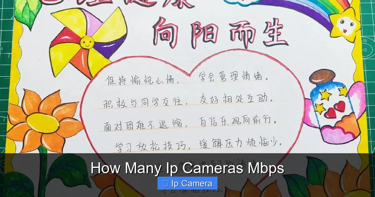 How Many Ip Cameras Mbps