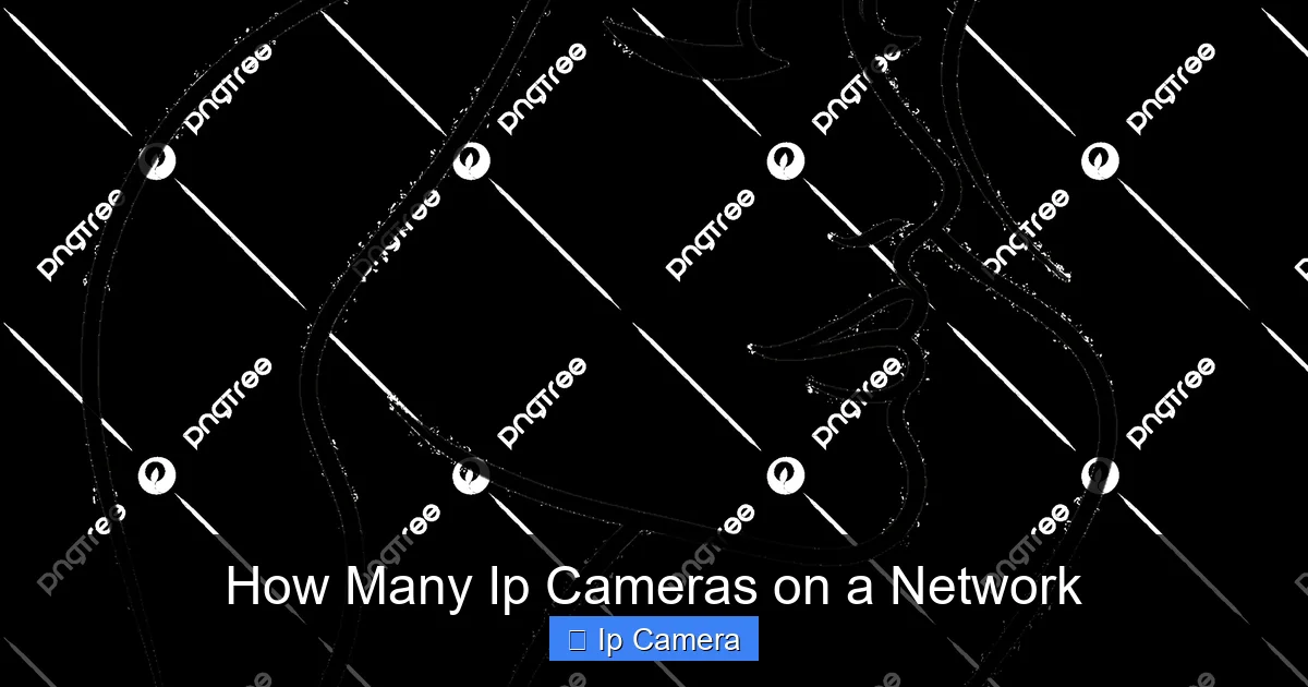 How Many Ip Cameras on a Network