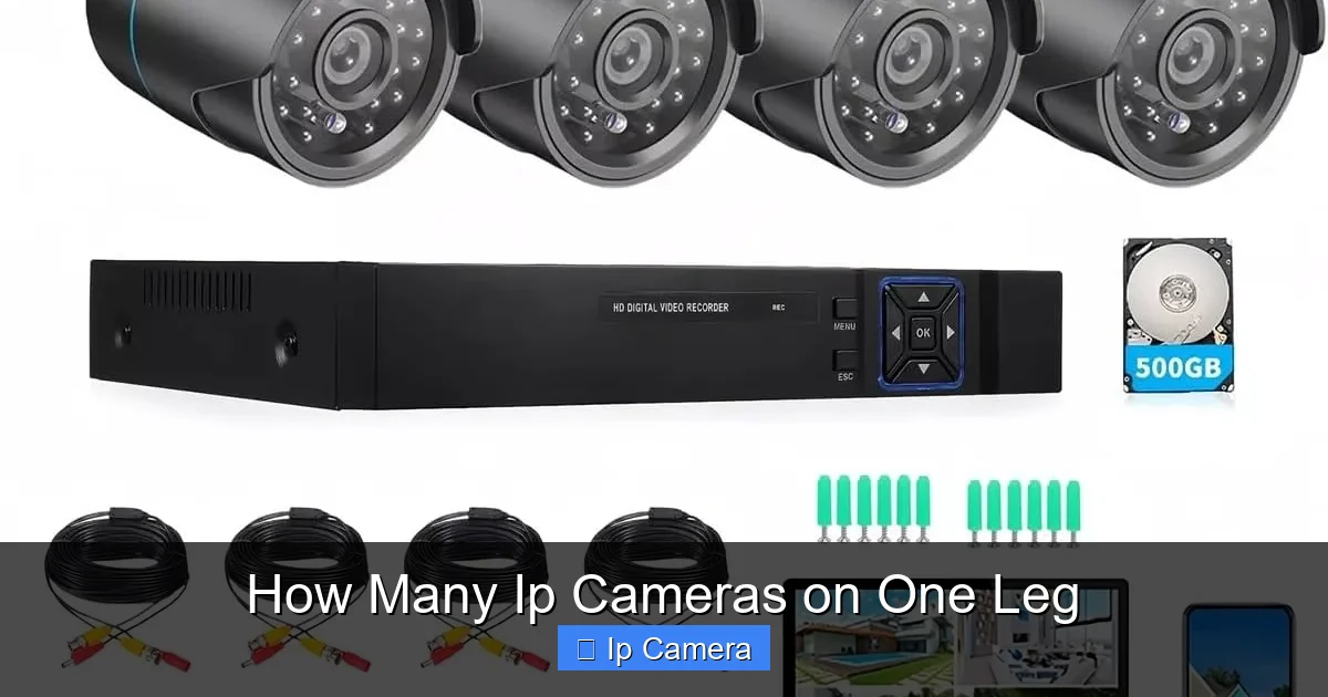 How Many Ip Cameras on One Leg