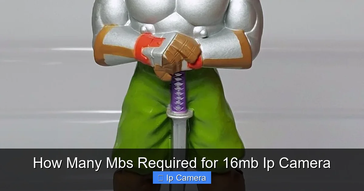 How Many Mbs Required for 16mb Ip Camera