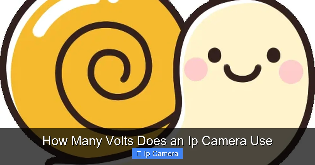 How Many Volts Does an Ip Camera Use