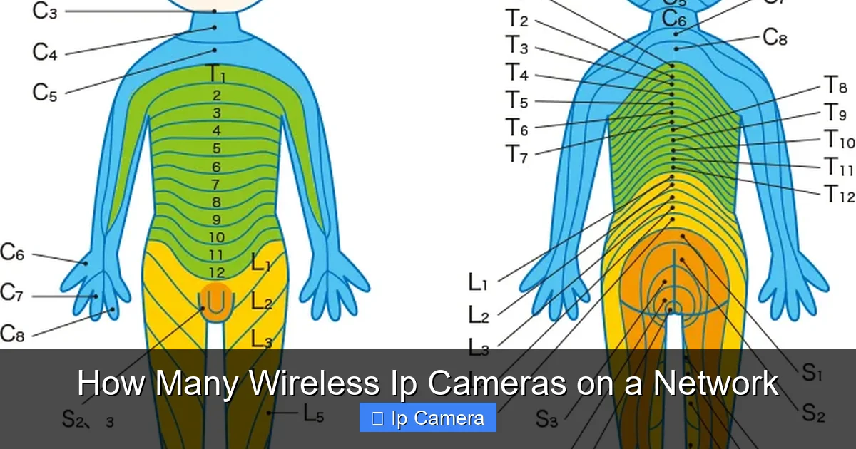 How Many Wireless Ip Cameras on a Network