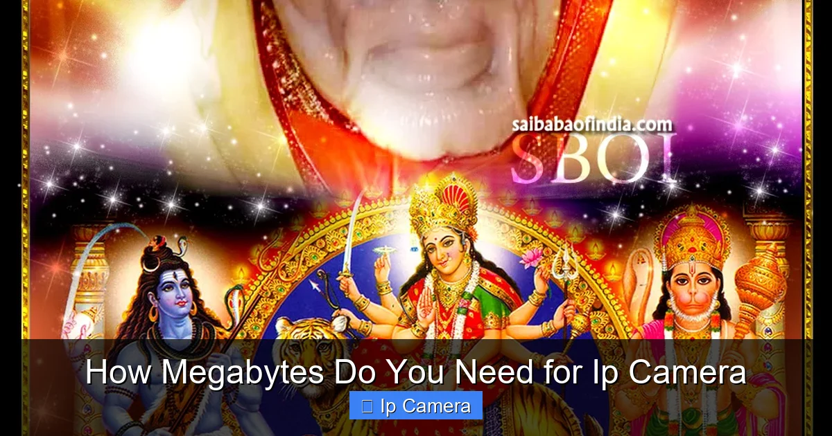 How Megabytes Do You Need for Ip Camera