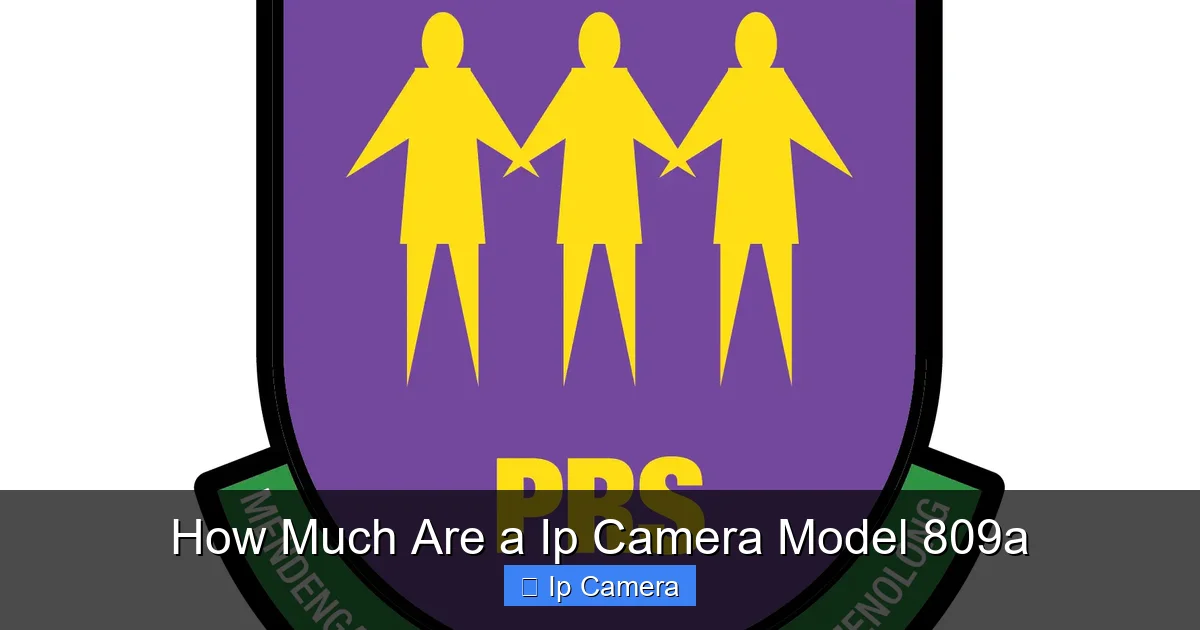 How Much Are a Ip Camera Model 809a