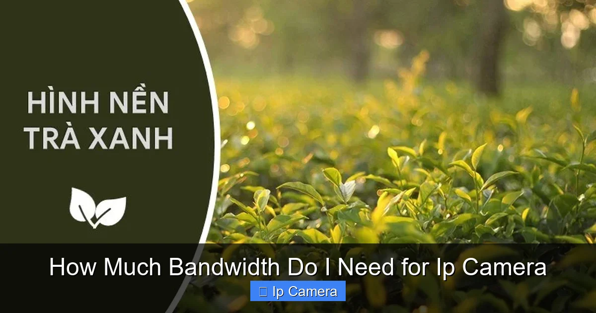 How Much Bandwidth Do I Need for Ip Camera