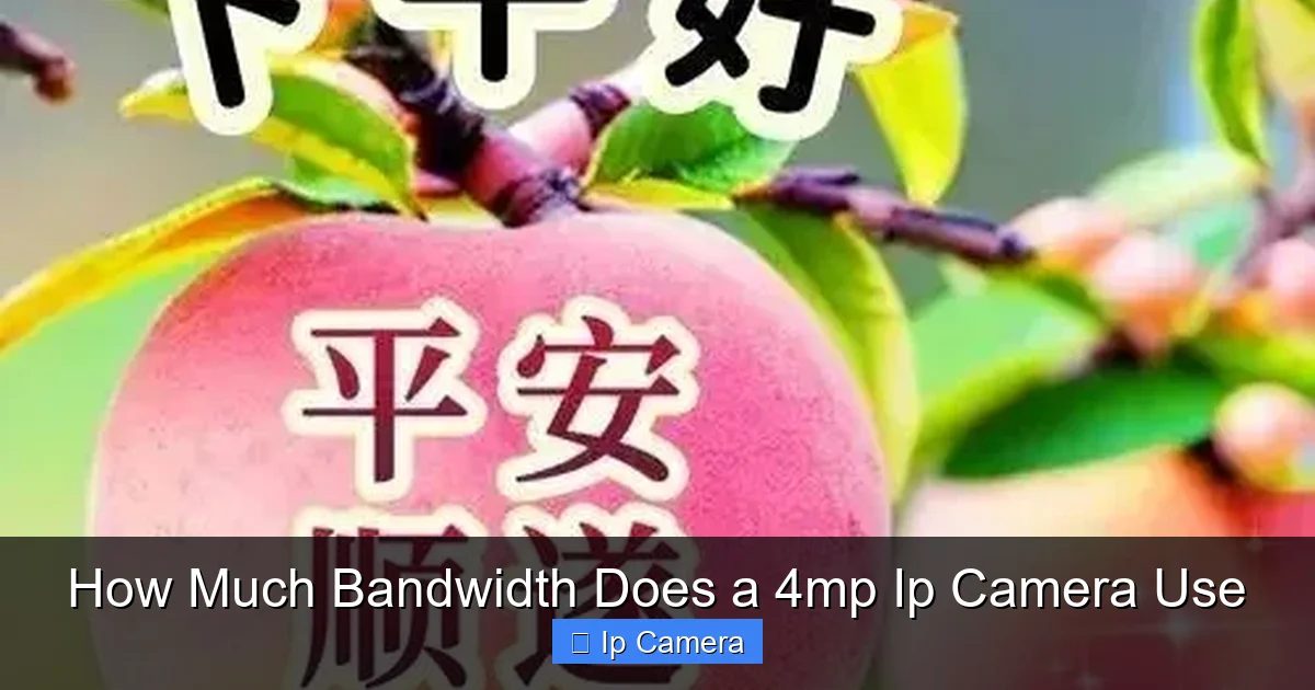 How Much Bandwidth Does a 4mp Ip Camera Use