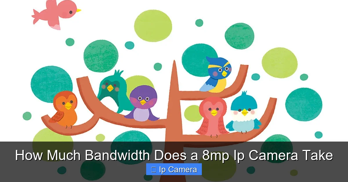 How Much Bandwidth Does a 8mp Ip Camera Take