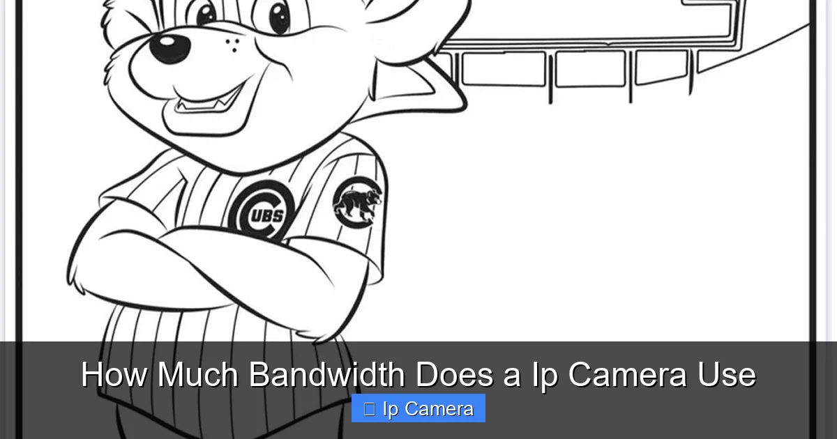 How Much Bandwidth Does a Ip Camera Use
