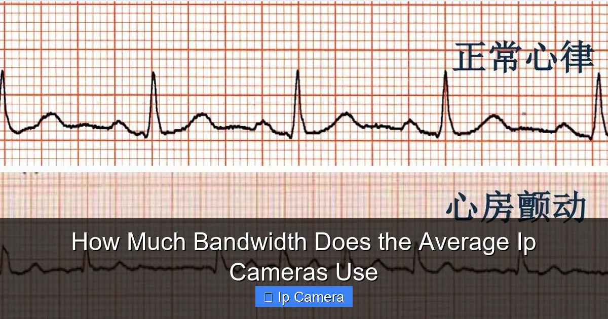 How Much Bandwidth Does the Average Ip Cameras Use
