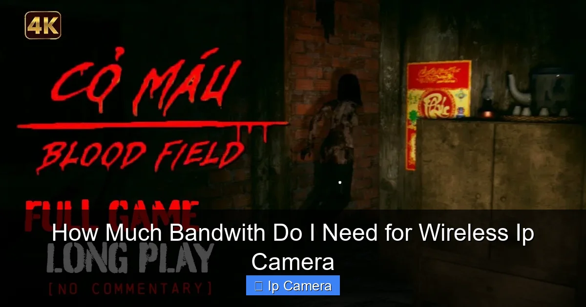 How Much Bandwith Do I Need for Wireless Ip Camera