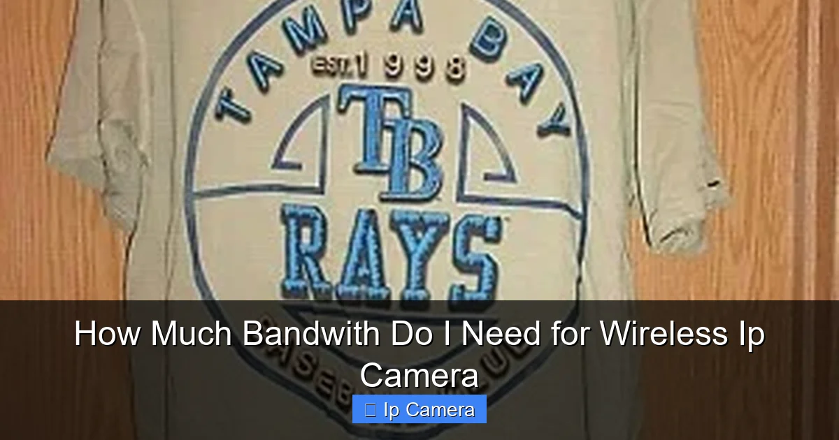 How Much Bandwith Do I Need for Wireless Ip Camera