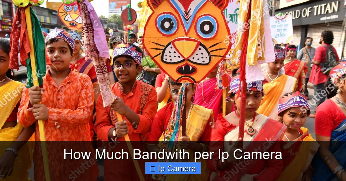 How Much Bandwith per Ip Camera