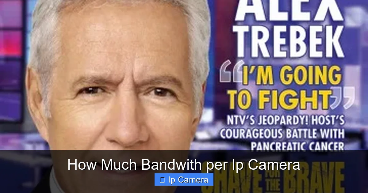 How Much Bandwith per Ip Camera