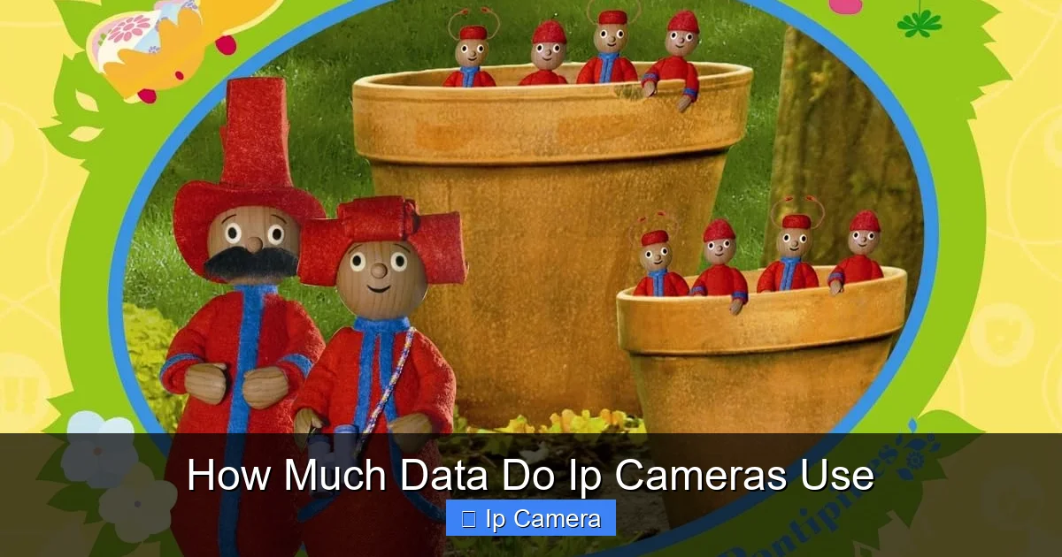 How Much Data Do Ip Cameras Use