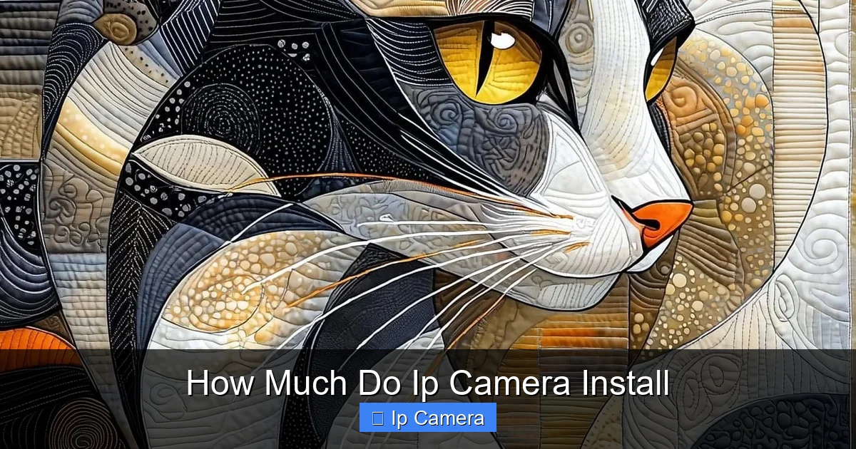How Much Do Ip Camera Install