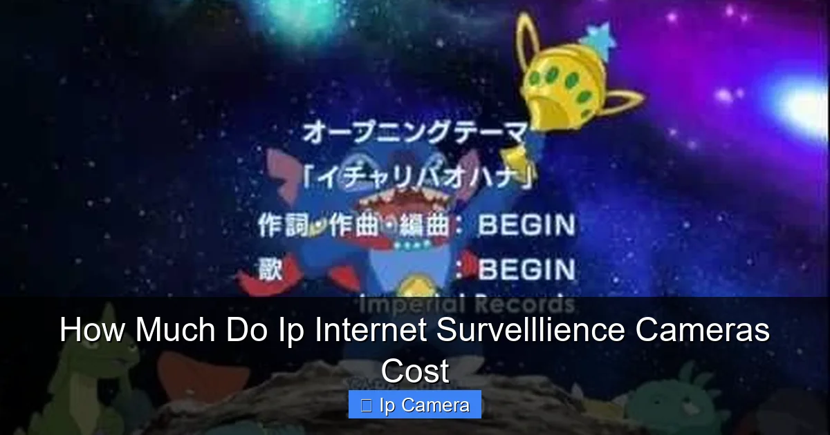 How Much Do Ip Internet Survelllience Cameras Cost