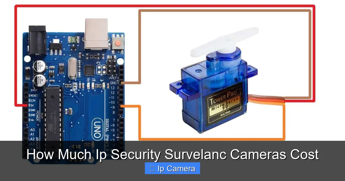 How Much Ip Security Survelanc Cameras Cost