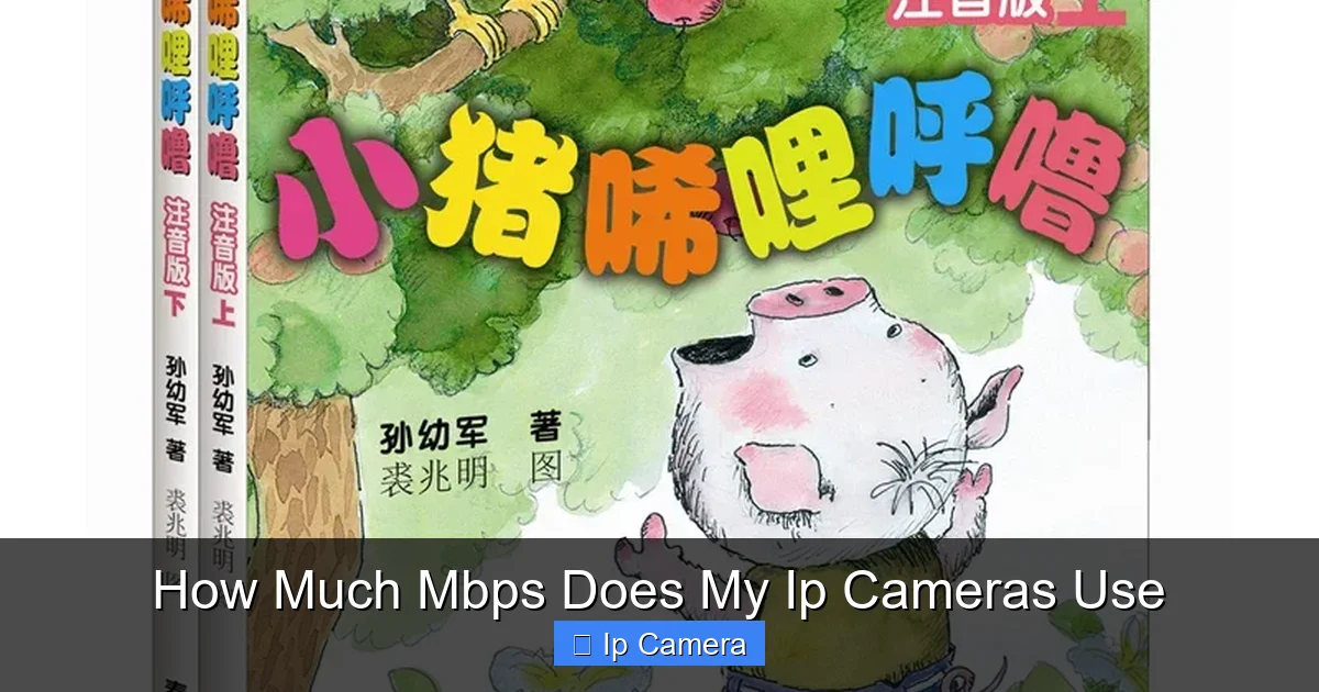 How Much Mbps Does My Ip Cameras Use