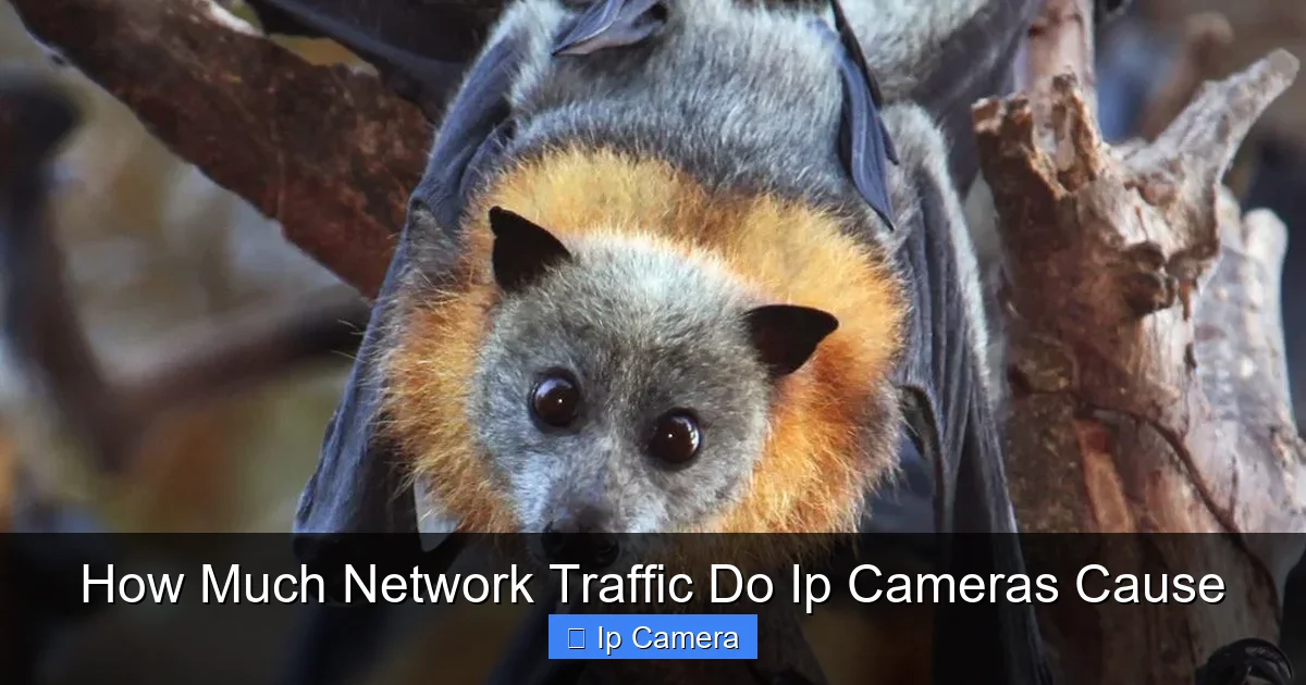 How Much Network Traffic Do Ip Cameras Cause