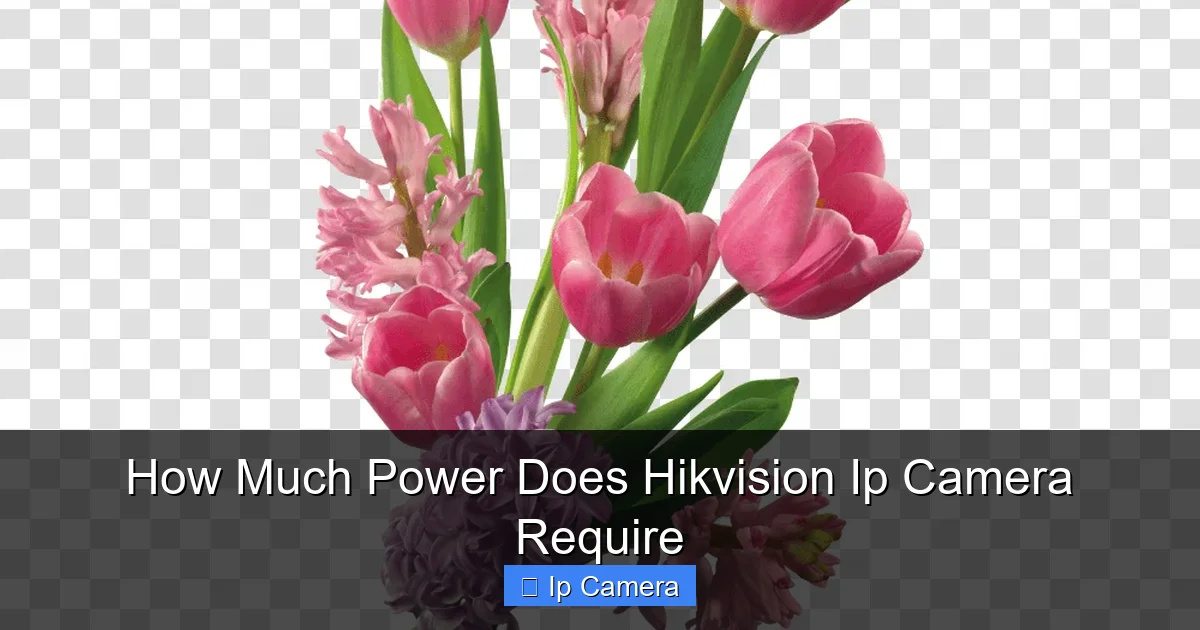 How Much Power Does Hikvision Ip Camera Require