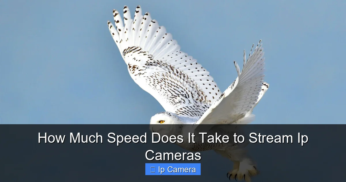 How Much Speed Does It Take to Stream Ip Cameras