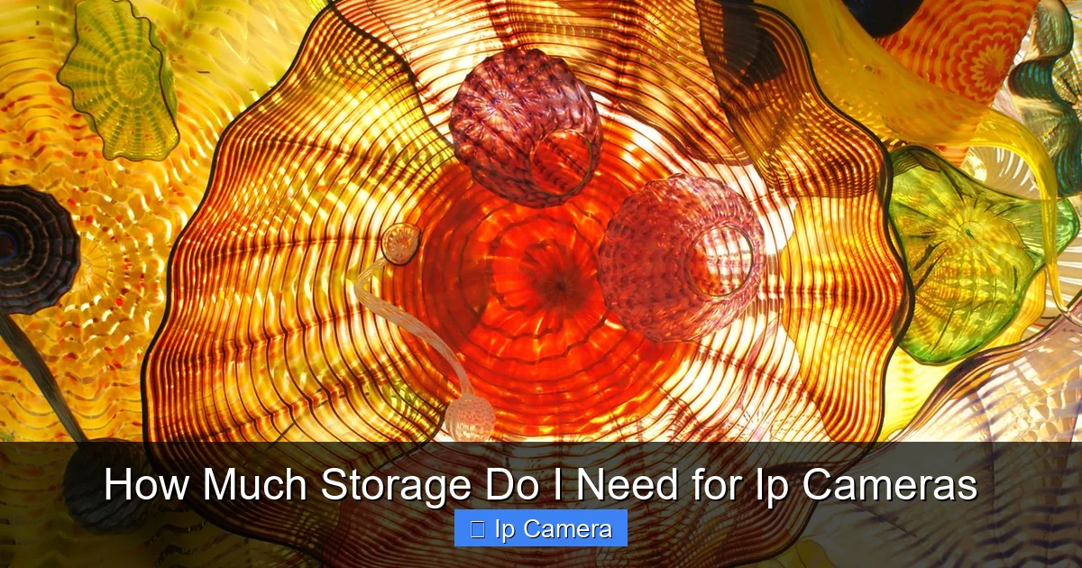 How Much Storage Do I Need for Ip Cameras