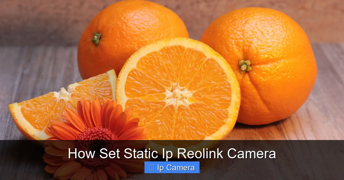 How Set Static Ip Reolink Camera