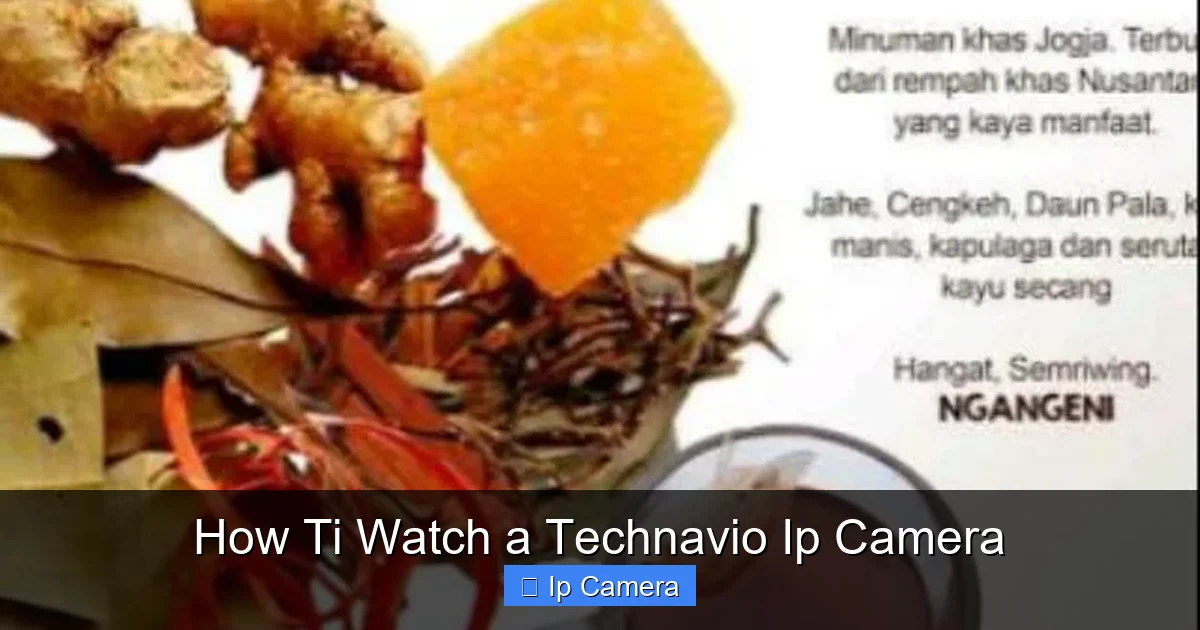 How Ti Watch a Technavio Ip Camera