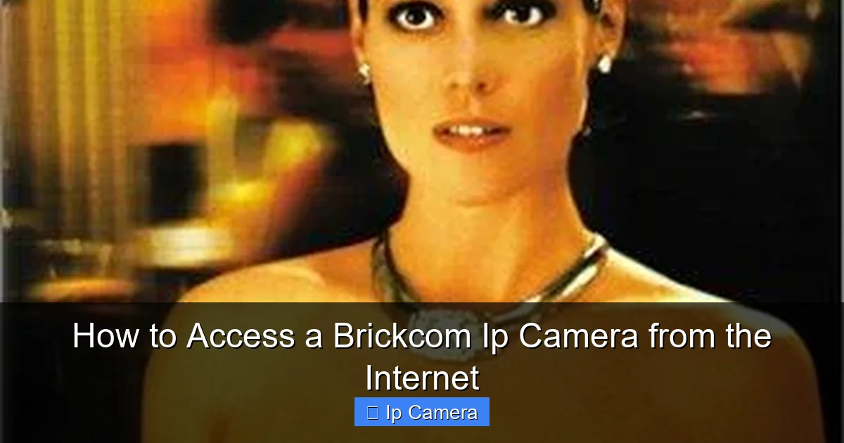 How to Access a Brickcom Ip Camera from the Internet
