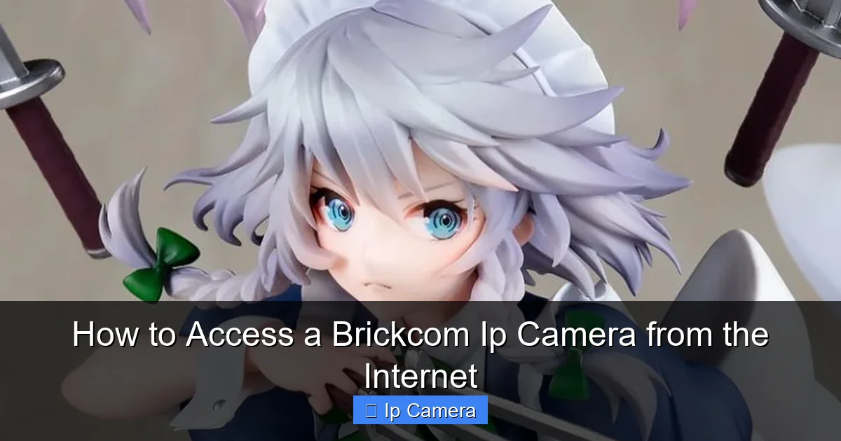 How to Access a Brickcom Ip Camera from the Internet