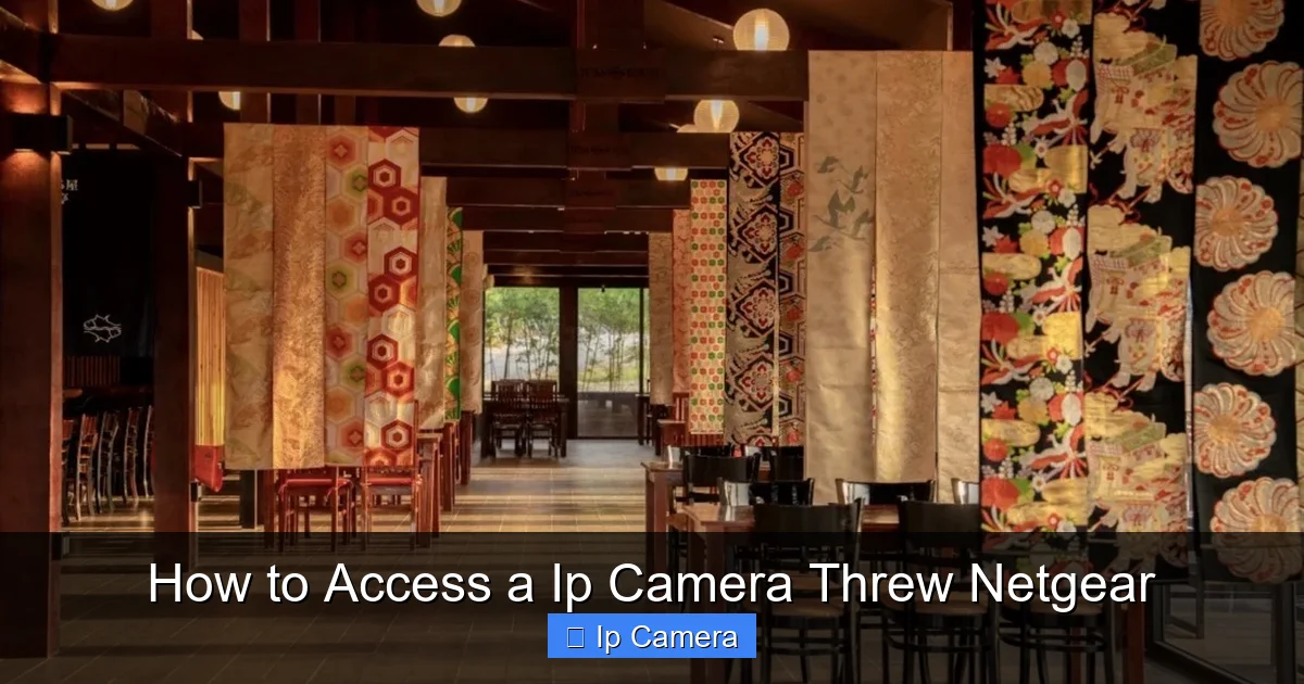 How to Access a Ip Camera Threw Netgear