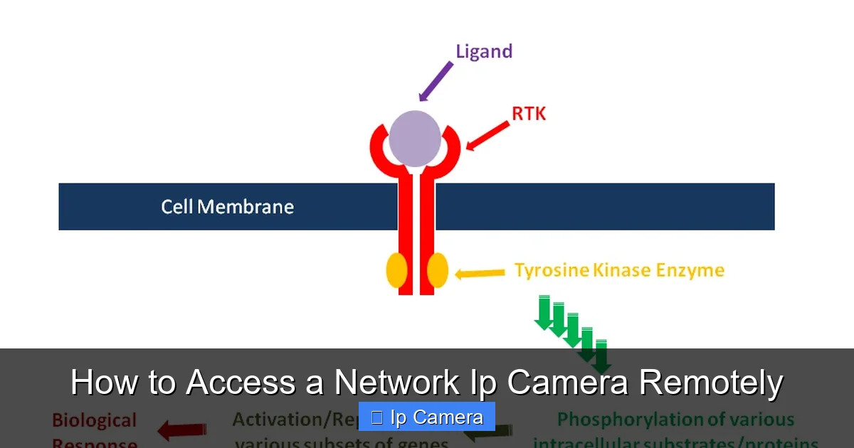 How to Access a Network Ip Camera Remotely