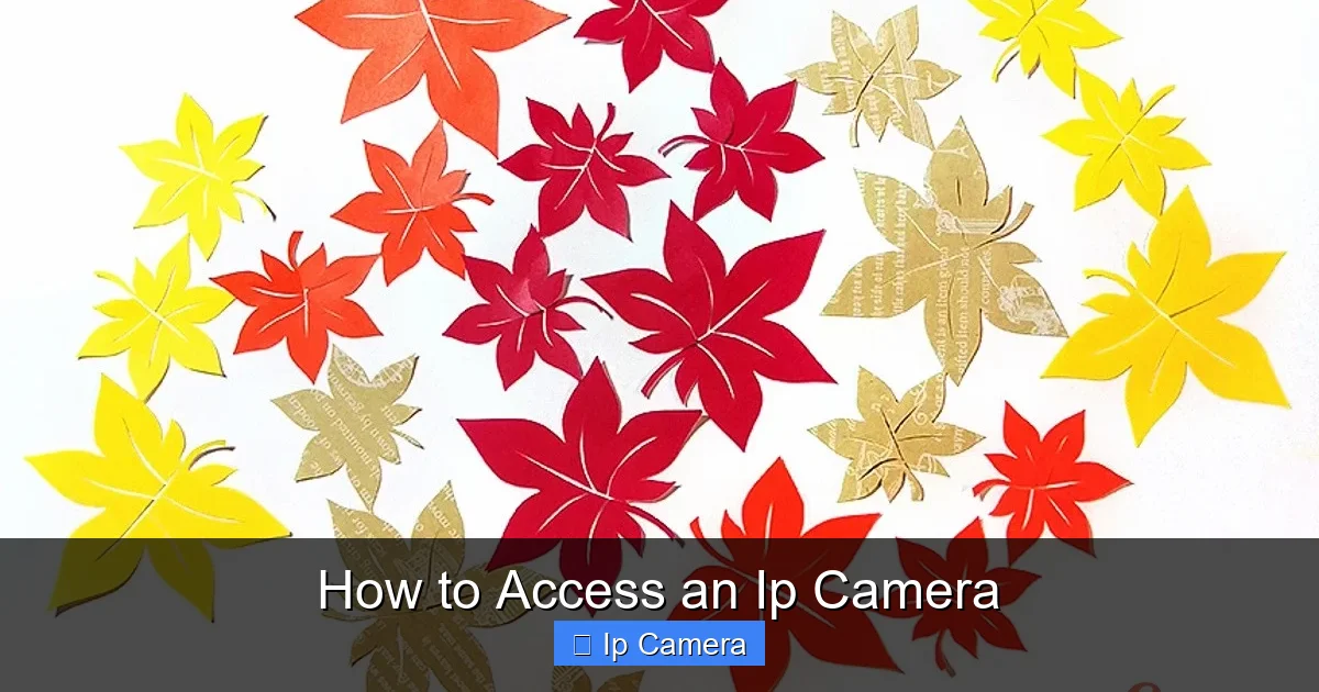 How to Access an Ip Camera
