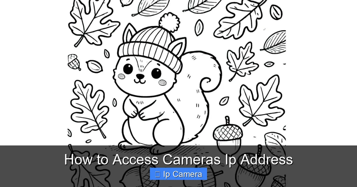 How to Access Cameras Ip Address