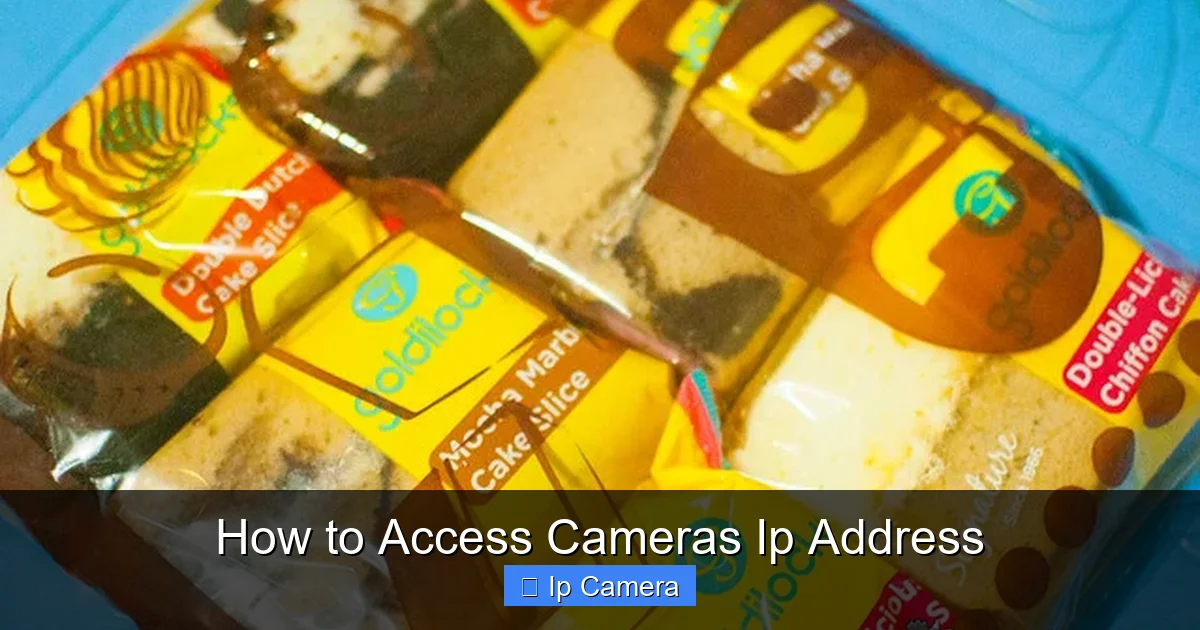 How to Access Cameras Ip Address